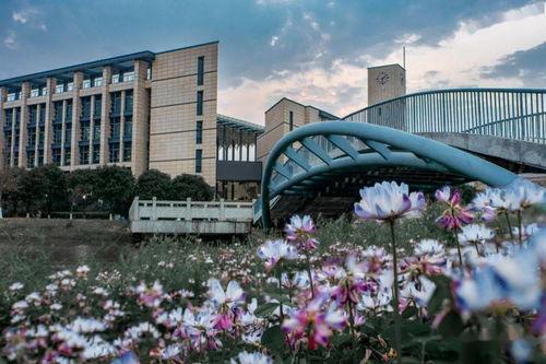 吴川学校爆料视频大全集,揭秘校园风云录  第3张