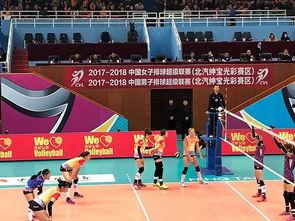 排球大咖爆料视频,独家爆料视频背后的精彩瞬间  第1张