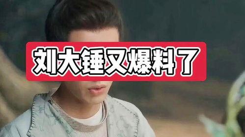 刘大锤爆料原话视频,揭秘原话视频背后的惊人真相  第2张